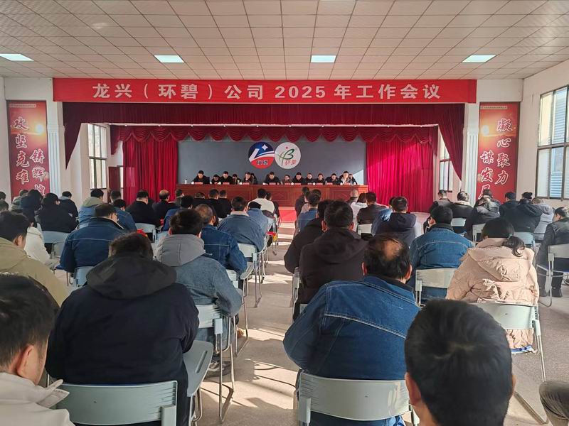 龙兴（九游平台）公司召开2025年工作会议